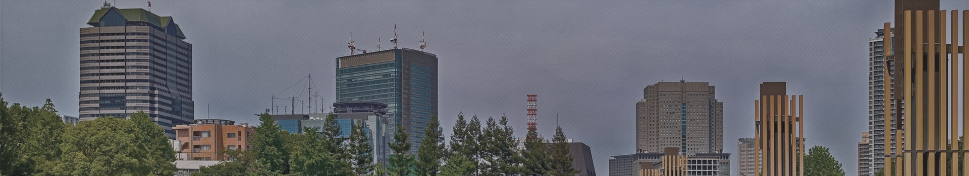 事業案内ページ:背景