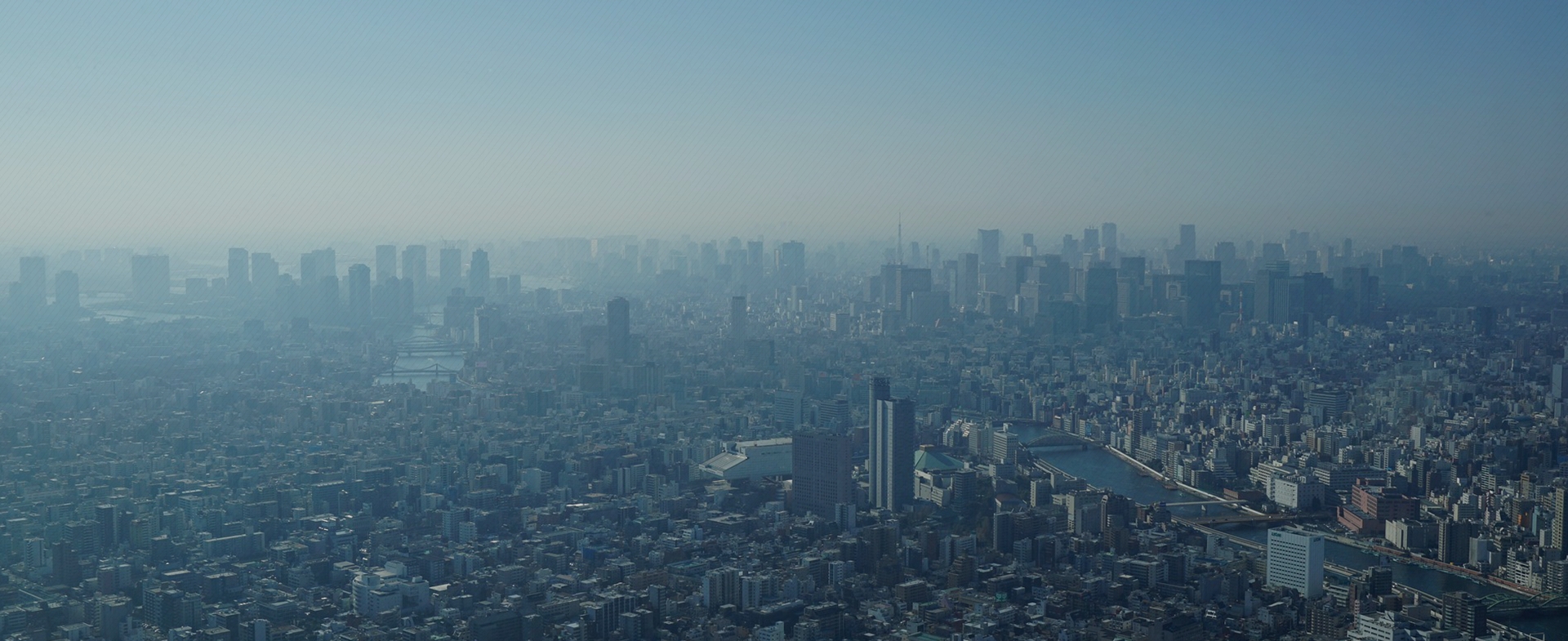 メインビジュアル:背景