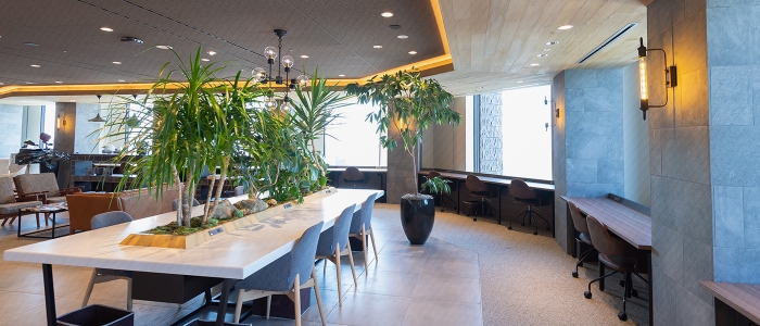 お洒落なオフィスの内装:写真