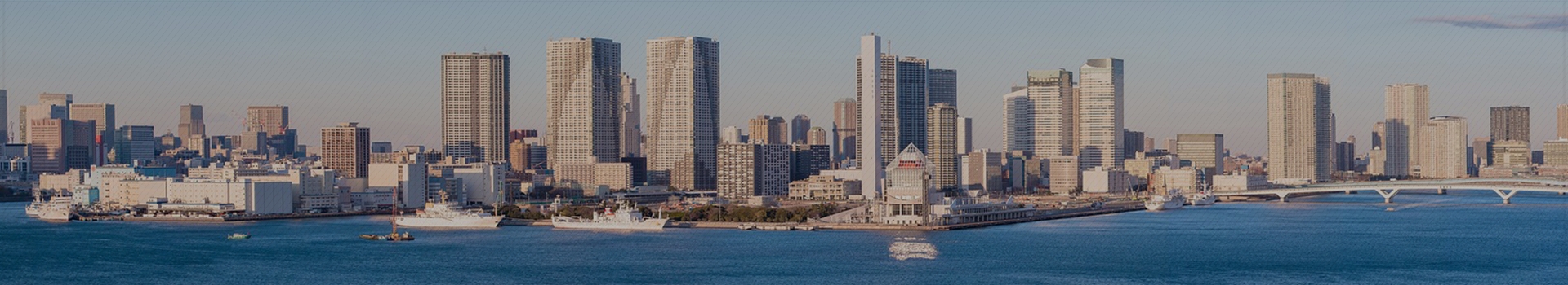 規約ページ:背景